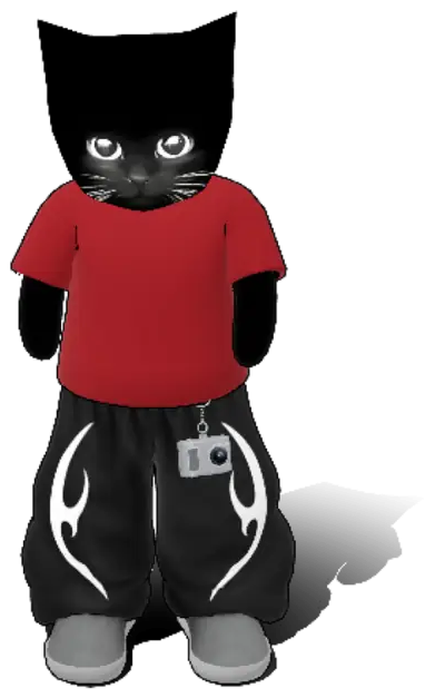 Bro, a small black cat in a red tee and black pants with a camera on his belt